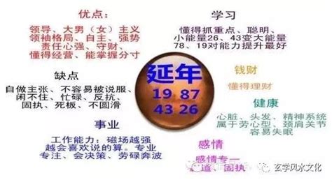 天医+延年|数字能量学之延年磁场，天医磁场，延年加天医磁场解析